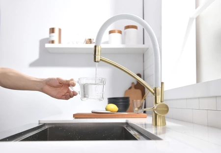 смеситель для кухни с фильтром paulmark siegen si213111-brw + h851p00