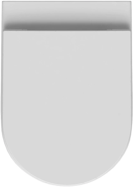 унитаз приставной allen brau reality 4.32004.20 без сиденья, белый