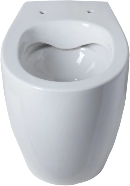 унитаз приставной allen brau fantasy 4.11007.20 без сидения