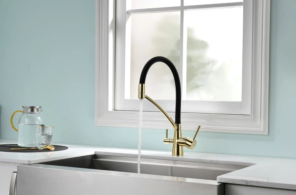 смеситель для кухни с фильтром paulmark siegen si213111-g + h851p00