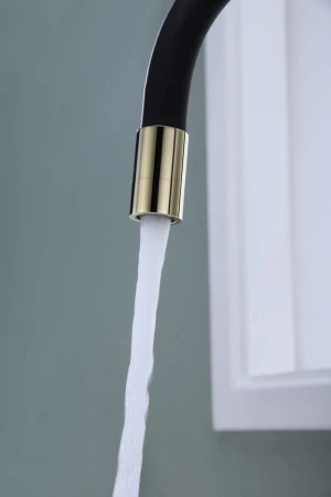 смеситель для кухни с подключением к фильтру paulmark salix sa213419-g, цвет золото/ черный